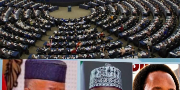 Killings: LP candidate hails EU Parliament stance, urges FG, NASS to end violence