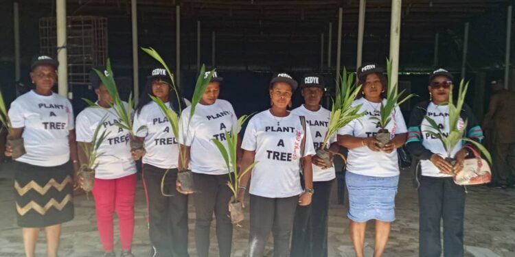 Group Flags Off Tree Planting Initiative in Anambra