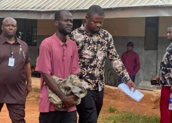 Blogger remanded over alleged defamation of Soludo, family