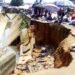 Sakamory Drainage on the Verge of Collapse, Threatens Lives, Businesses