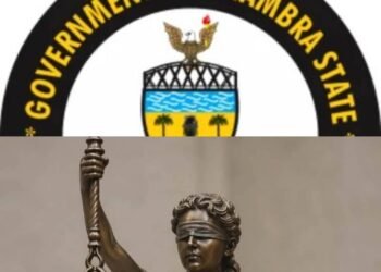 Nnewi: “This is exactly what the law forbids”