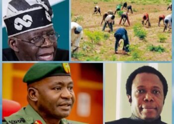 Zamfara Killings: Order military to rescue abducted victims – LP candidate tells Tinubu