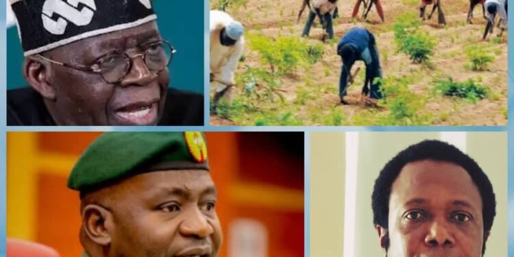 Zamfara Killings: Order military to rescue abducted victims – LP candidate tells Tinubu