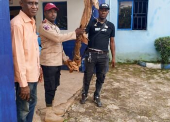Anambra FRSC Recovers Double-Barrel Gun in Accident Scene