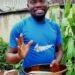 Soludo’s wife hails Anambra journalist for embracing agriculture, free Organic Seed Packs Initiative