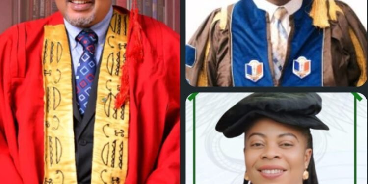NMA to confer awards on UNIZIK VC, COOUTH CMD, others in Anambra conference 