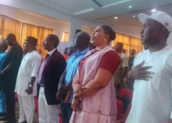 MAN unveils power firm for energy coordination in S’east