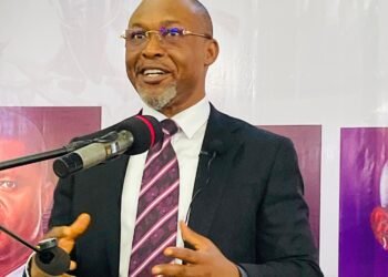 Chidoka Calls for New National Consensus on Equal Citizenship, Answerable Power