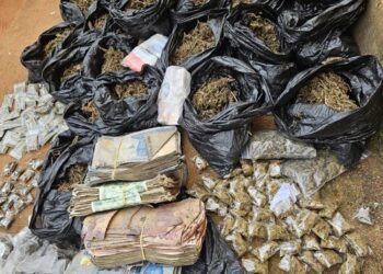 Police raid criminal hideouts, arrest 2, recover drugs worth ₦6.2m, ₦598,400 cash