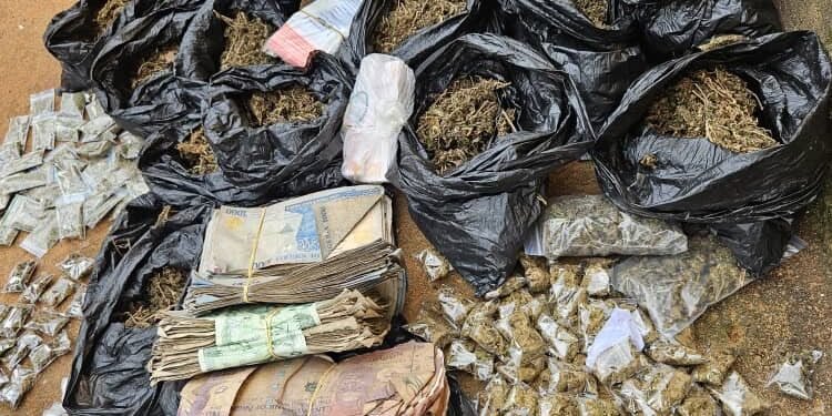 Police raid criminal hideouts, arrest 2, recover drugs worth ₦6.2m, ₦598,400 cash
