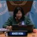 UN promotes Nigerian Prof, Menakaya to Deputy Perm Observer in 38years