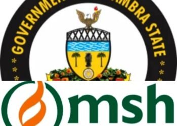 Anambra becomes the first beneficiary of MSH PEECH project in Nigeria