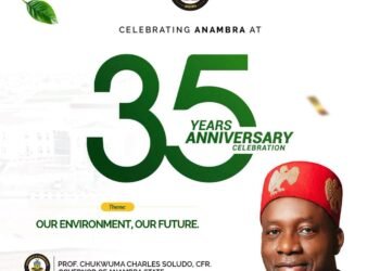 Anambra at 35: Governor Soludo leads his call for collective action on the environment