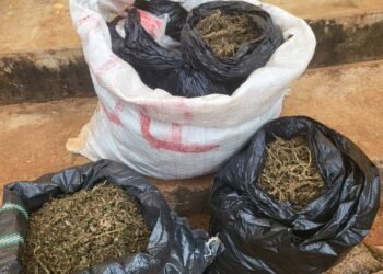 Police arrest man with ₦5.8m illicit drugs in Anambra