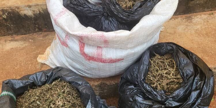 Police arrest man with ₦5.8m illicit drugs in Anambra