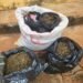 Police arrest man with ₦5.8m illicit drugs in Anambra