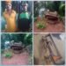 Firstpower Confirms Arrest Of Two Transformer Vandals In Anambra