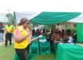 Supporting women farmers not favour but investment – FG