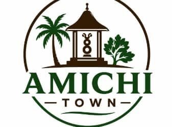 Amichi Stakeholders Back Caretaker Committee, Reject ‘Concerned Citizens’ (BoT) Petition Against Anambra Govt
