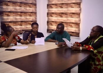 ICT Agency assesses 25 MDAs, builds evidence for digital govt across Anambra