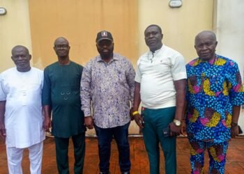 2027: NDC vows to sweep presidency, NASS, govs, others
