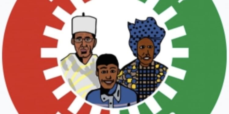 LP disowns man who dragged WAEC, NYSC, UNN over Obi’s academic records