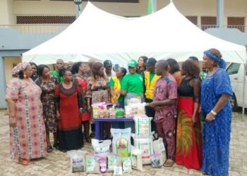 FG/IFAD-VCDP: Anambra farmers turn cassava, rice into income-generating products