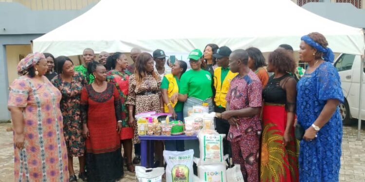 FG/IFAD-VCDP: Anambra farmers turn cassava, rice into income-generating products