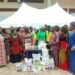 FG/IFAD-VCDP: Anambra farmers turn cassava, rice into income-generating products