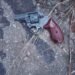Anambra Police recover 6-round pistol, arrest 2
