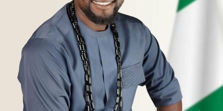 I’ll partner village chairmen to battle erosion in my constituency – NASS candidate, Arinze