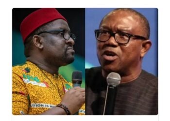2027: Peter Obi Does Not Stand a Chance At All- APGA Chair, Ezeokenwa