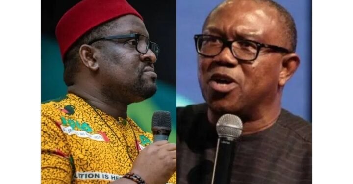2027: Peter Obi Does Not Stand a Chance At All- APGA Chair, Ezeokenwa