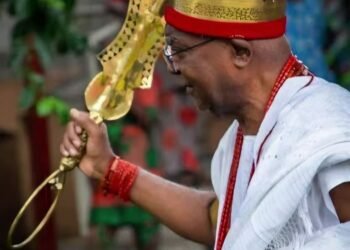Don’t cry over marginalization if you don’t vote in January poll – Achebe tells Ndigbo
