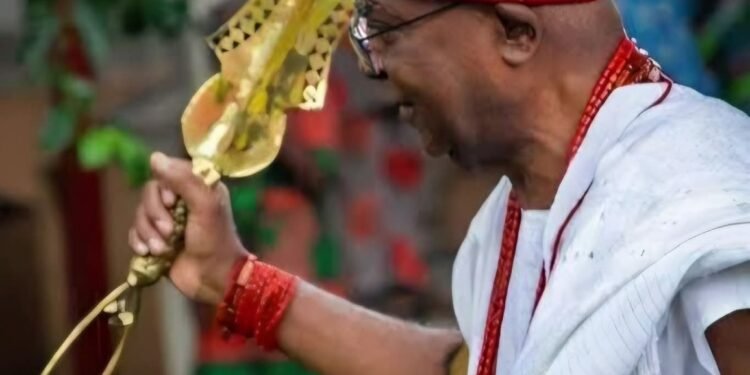 Don’t cry over marginalization if you don’t vote in January poll – Achebe tells Ndigbo