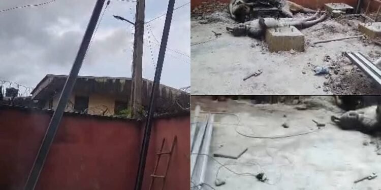 Firstpower Mourns Three Men Electrocuted In Onitsha, Reiterates Warning Against Unsafe Activities Near Power Lines