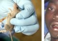 Just In: Lassa Fever Hits Anambra