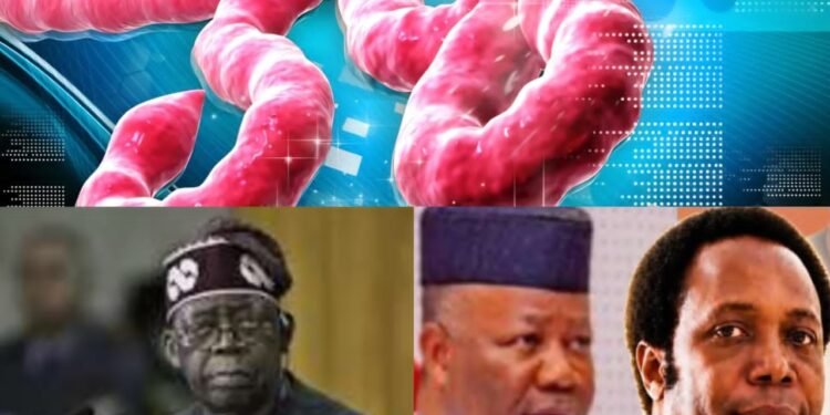 Ebola: Don’t play politics with health of 200m Nigerians – LP Candidate warns FG