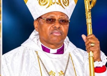 Archbishop Ibezim: When fair hearing eludes the Church